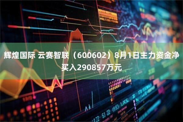 辉煌国际 云赛智联（600602）8月1日主力资金净买入290857万元